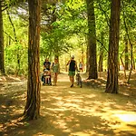 Parco Capraro Jesolo
